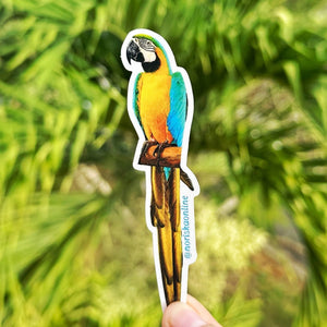 Sticker guacamayo boricua puerto rico