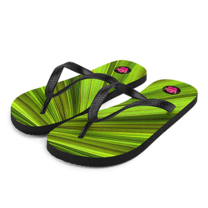 Chancletas (flip flops) con hojas de palmas de Puerto Rico en primavera.