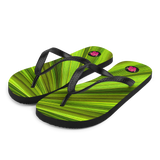 Chancletas (flip flops) con hojas de palmas de Puerto Rico en primavera.