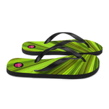 Chancletas (flip flops) con hojas de palmas de Puerto Rico en primavera.