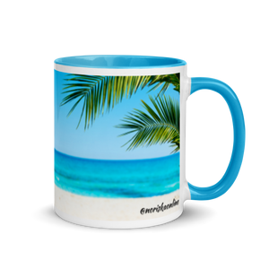 Taza Playas Puerto Rico